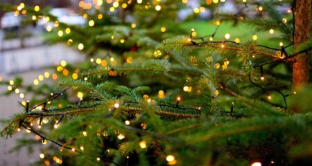 Tannenbaum mit Lichterkette
