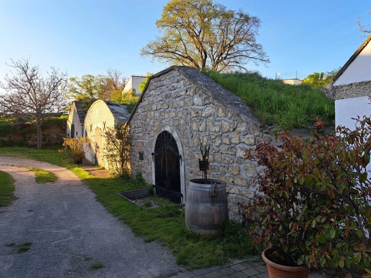 Kiesweg mit alten Weinkeller-Eingängen mit Holztoren und Steinmauern.