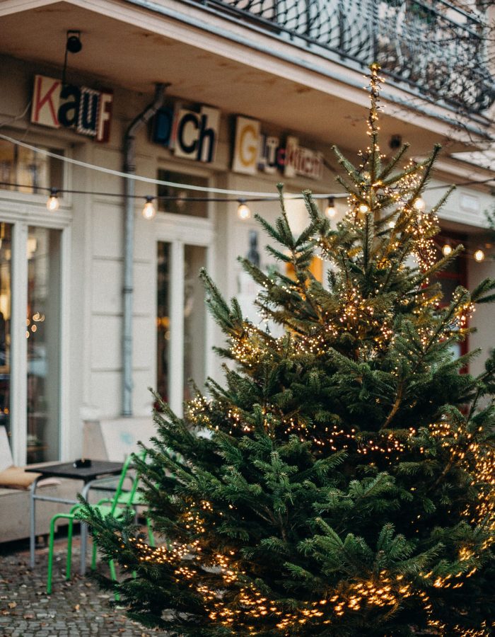 historisches Gebäude als Boutique umfunktioniert, davor steht ein Tannenbaum mit Lichterkette.